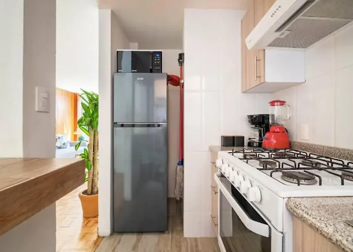 Private Terrace, King Size Beds, 2 Baths And Garage * México DF